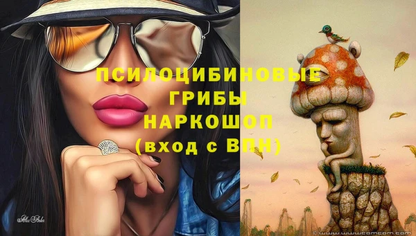 экстази Козельск