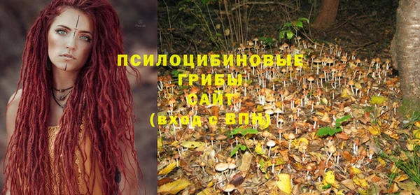 экстази Козельск