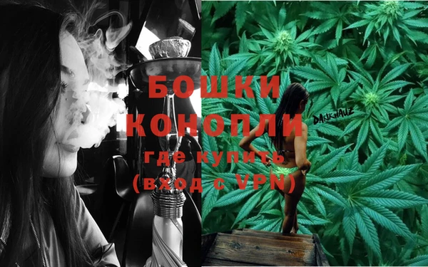 мдпв Козловка